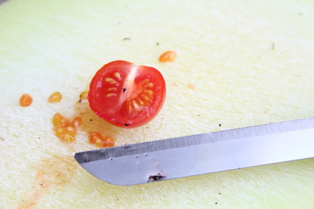 moestuin 2015 tomaat zaaien