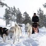 Avontuurlijk wintersporten in Zweden | ENJOY! The Good Life