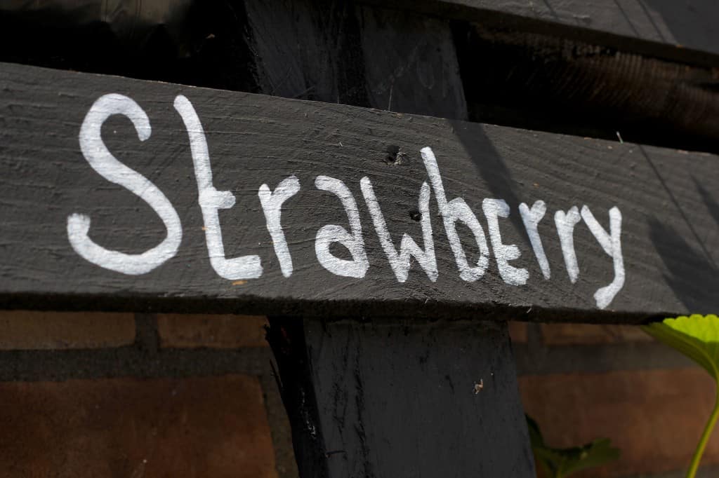 DIY: Strawberry Delights pallet | ENJOY! The Good Life