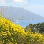 SAMOS, een eiland waar je terugkomt | ENJOY! The Good Life