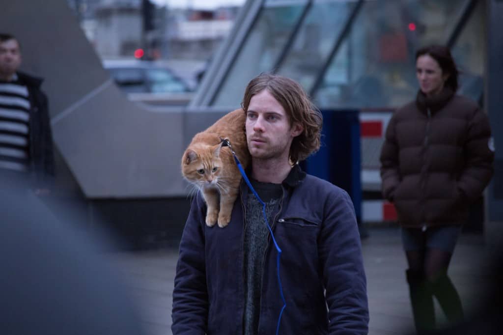 FILMTIP: A STREET CAT NAMED BOB | ENJOY! The Good Life