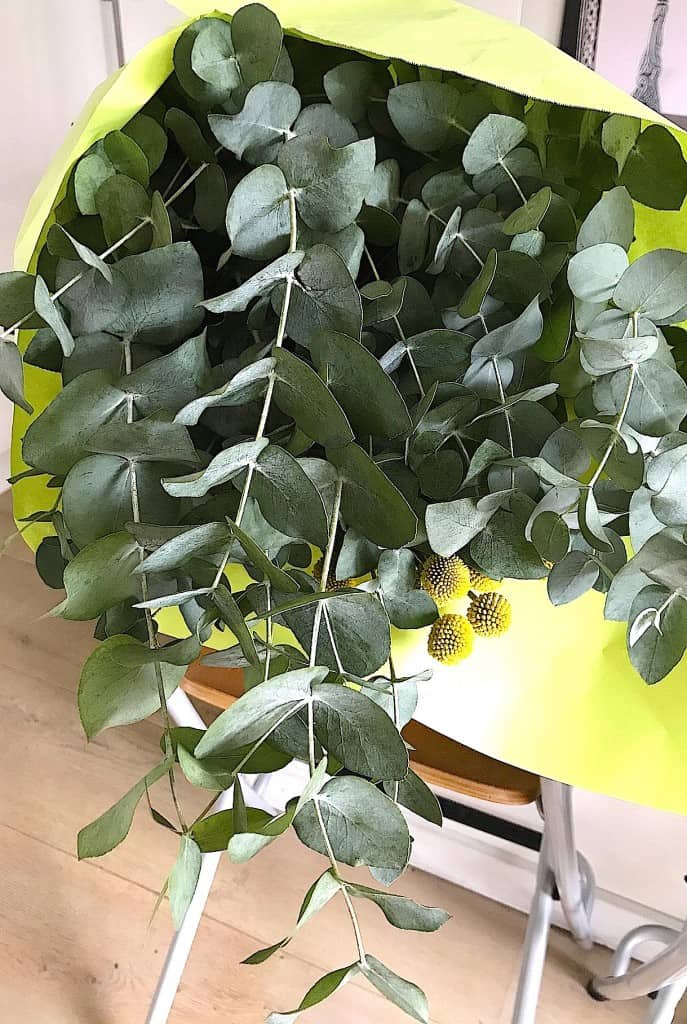 Interieur trend: Eucalyptus | ENJOY! The Good Life