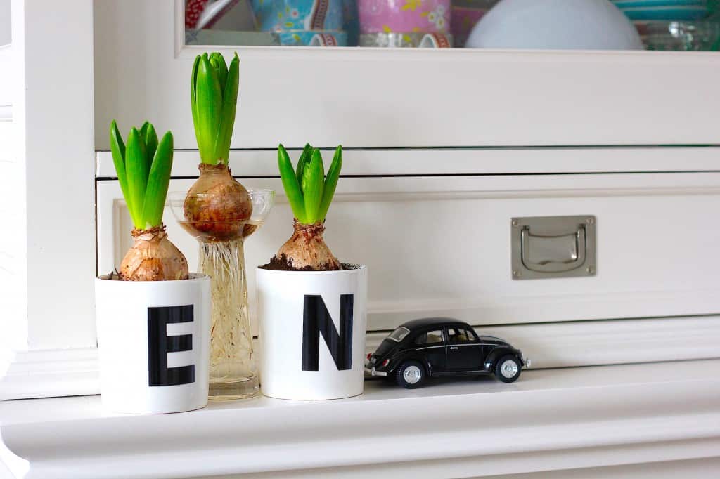 Lentekriebels, bloembollen en kleur in je interieur | ENJOY! The Good Life