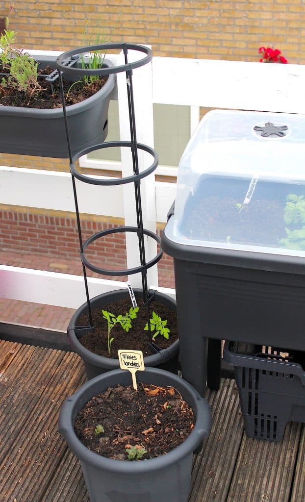 Aardappels kweken op je terras of balkon | ENJOY! The Good Life